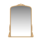 Traditional/Transitional Decorative Framed Mirror