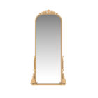 Traditional/Transitional Decorative Framed Mirror